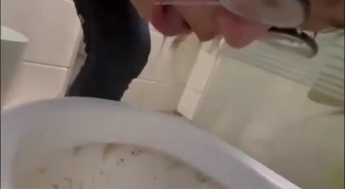 Elon Relaunches Vine