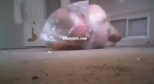 Dying by asphyxiation in a plastic bag... !