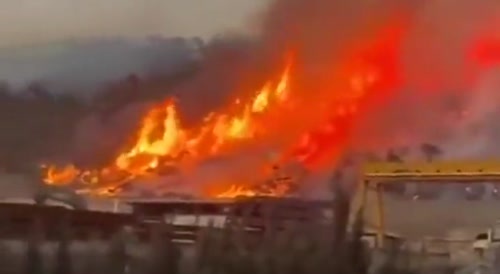 Arsonist caught on video in broad daylight