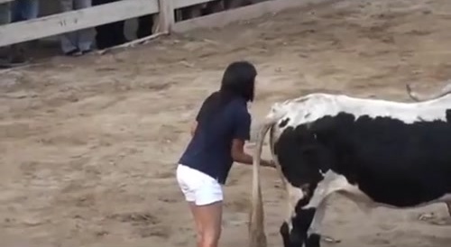 How To Stop Bulls From Killing