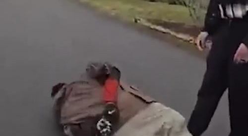 Fake UPS Driver Fakes the Fakest Seizure ever - not worthy of an Oscar