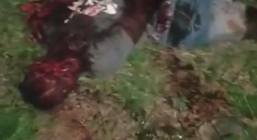 Goat Thief Gets Sliced