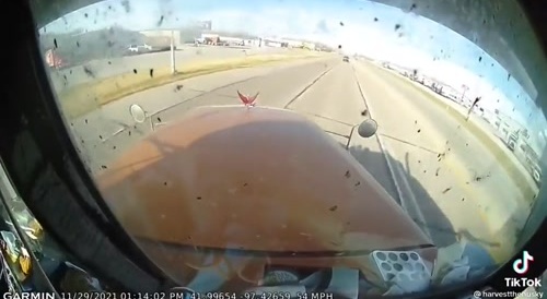 Truck driver avoids FARTNROSES gay/faggot... !