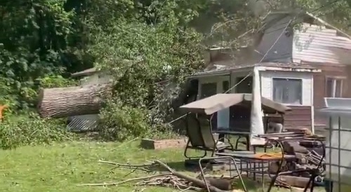Tree collapses on house