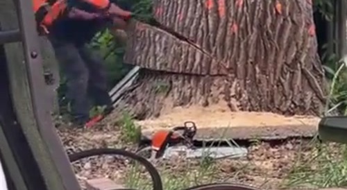 Stupid Rednecks Drop a Giant Tree into house