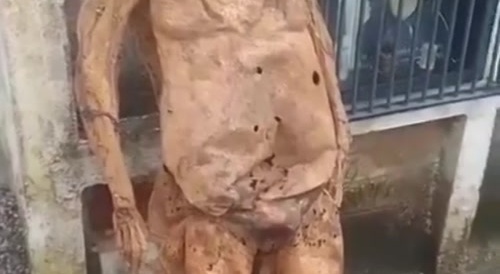 Someone took her out of the tomb