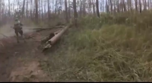 Kohiwolf Gets Shot In A Foxhole