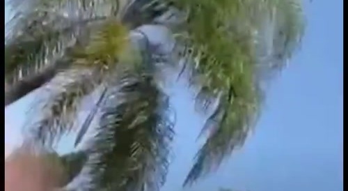 Someone falling off bridge!