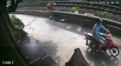 Another Poor Granny hit by train