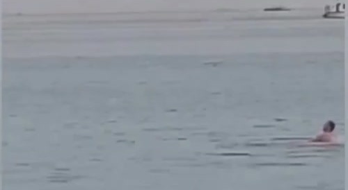 Shark attack on Russian tourist in Egypt