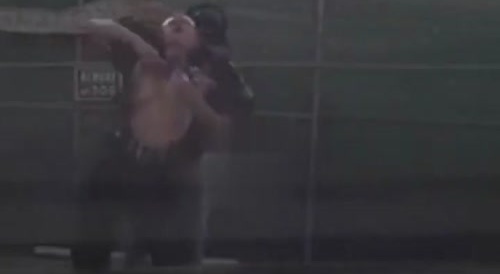 Cop Titties Fight For Their Lives