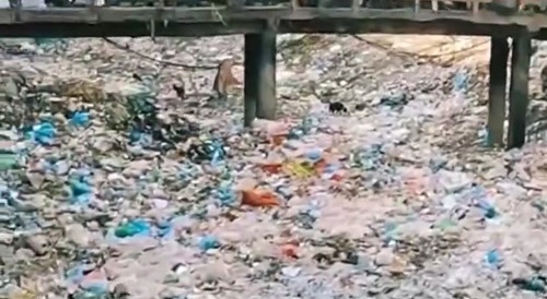Most ordinary : a trash river in Bangladesh... !
