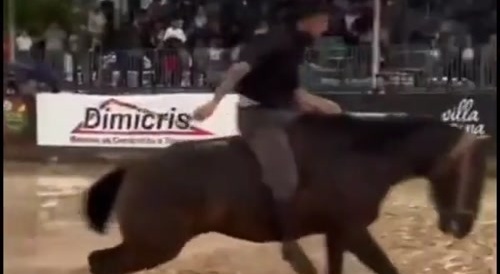 The revenge of Horse