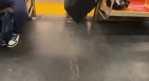 Dirty Black Woman Pisses In Subway Train