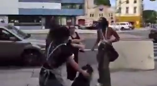 Asians Start Problem With Black Customer