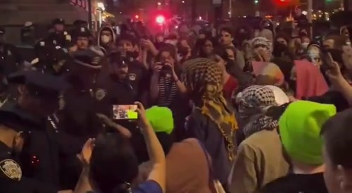 Palestine Protestor Gets Taught a Lesson by Cops