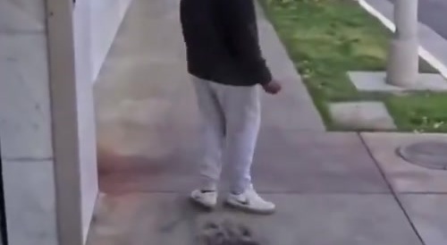Stubborn Idiot Gets Maced in da face