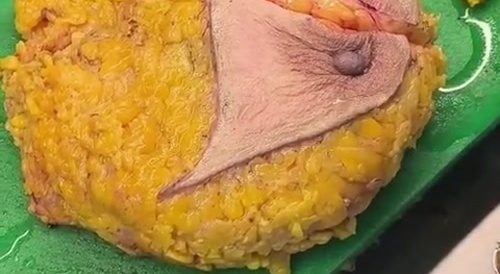 Turning Titty Into Pussy... !... !... !... !
