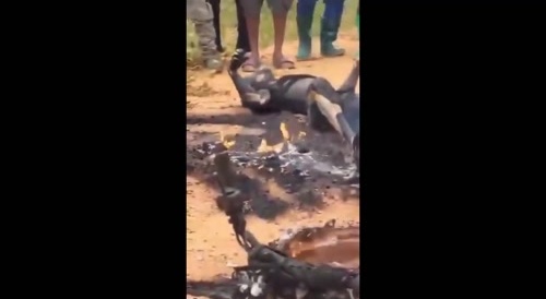 Burn, baby, Burn