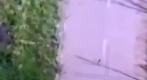 Russian Soldiers Kill Ukrainian Granny