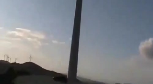 Bird gets hit by Wind turbine blade