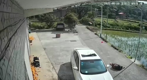 Male jumper falls on car roof & survives... !
