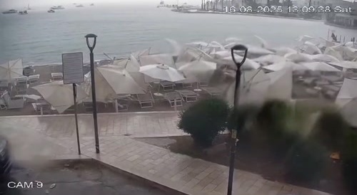 The wind likes to play