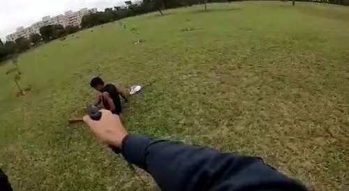 Don't Charge At Cops, Even When High.