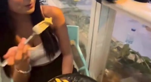 Girl taunts cat with food, cat destroys all her food