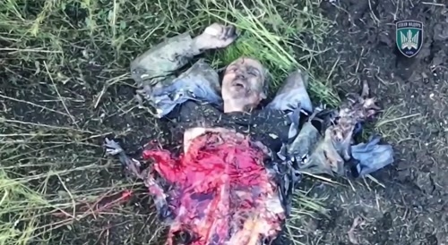birds of magyar destroying russian