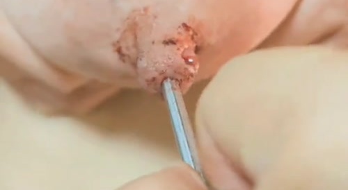Woman getting off on a long nail in the nipple... !