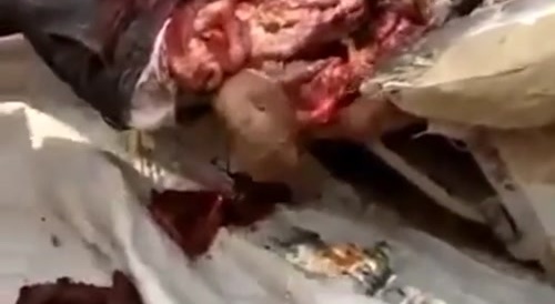 Farmer was broken up by a machine while working... !
