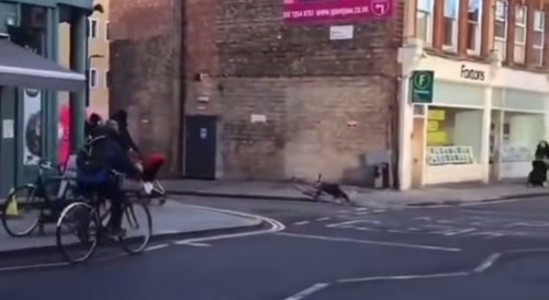 Victorian era bike crash