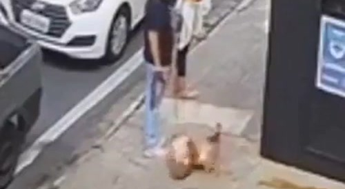 Man defacates on street in daylight & a dog rolls in it... !