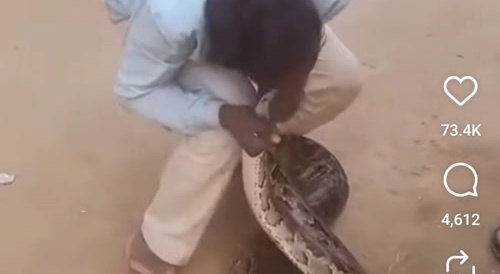 Snake Charmer