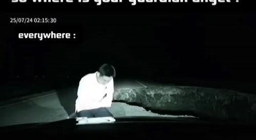Animal comes out to warn guy about huge hole in road at night