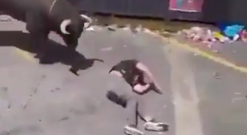 The Man Was Attacked By A Bull And Lost Consciousness