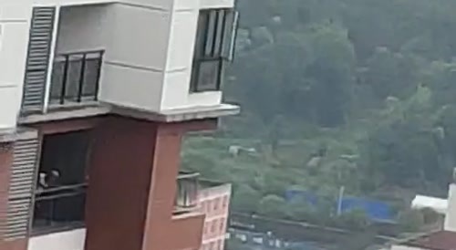 Suicide jump: the long way down... !