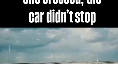Human Stupidity On The Highway