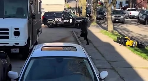 PoPo Make One Hell Of A Tackle