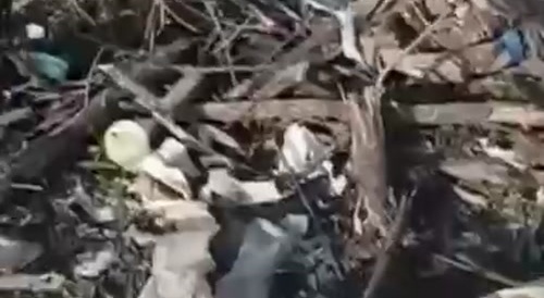 Mutilated, gnawed by dogs, corpses of Ukrainians:)
