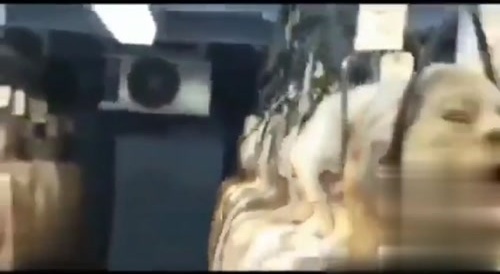 How Aliens Keep You Mortals Fresh