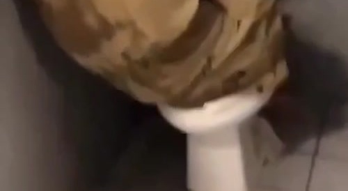 swirly taken to a new level inside of prison