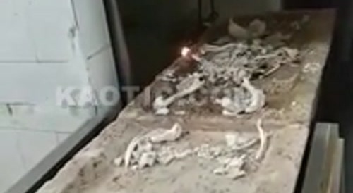 Shop Vac cleanup