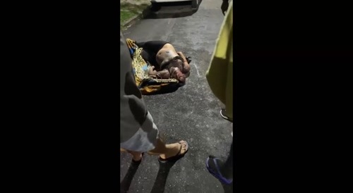 A murdered Brazilian transsexual (?) left in the street...