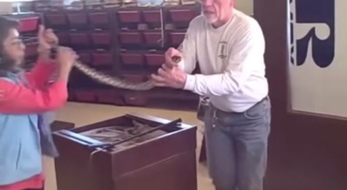 Rattlesnake flunk... !