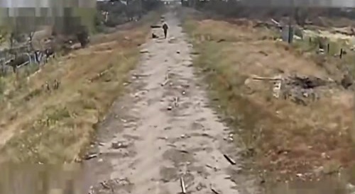 The number of Russian infantry on electric scooters has increased sharply at the front recently.