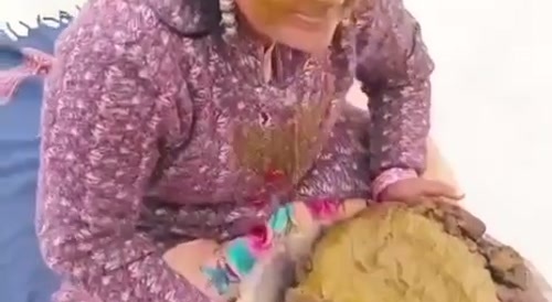 Holy Indian cows = pressing your face down in their shit... !