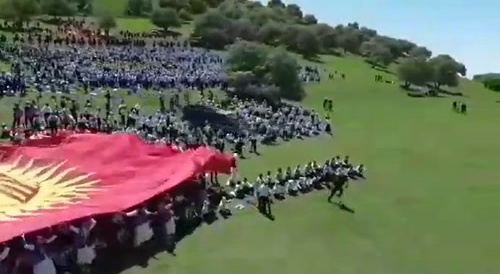 truck plows through crowd