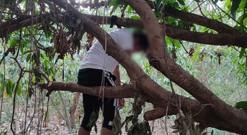 a case of hanging suicide in sichuan china
